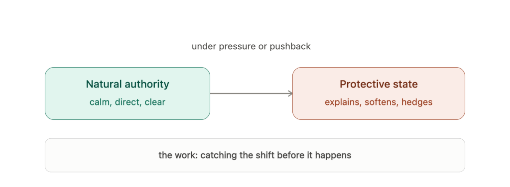 natural_authority_vs_protective_state diagram